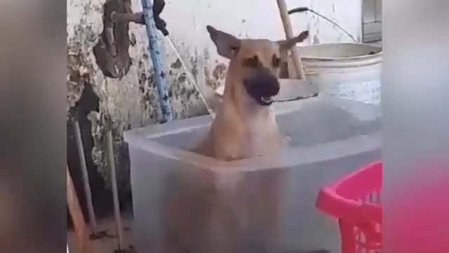 joy in the bath