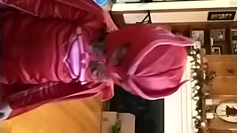 Owlette interview