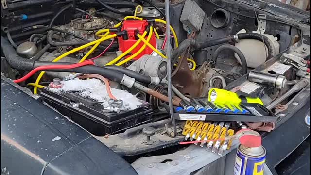 Mustang update