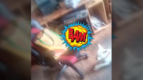 today video