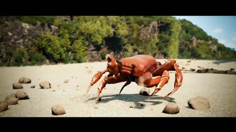 Meme Video Clips For Editing _ no copyright _ Free To Used
