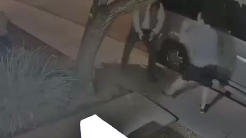 Lawful self-defense. Phoenix, AZ Darwin theory!