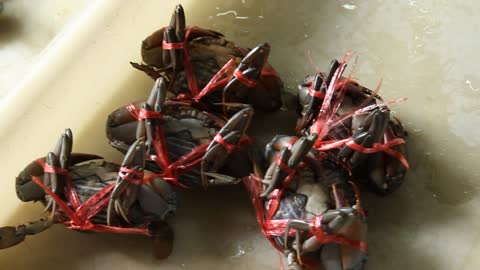 Crabs strung