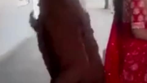 😄hilarious spontaneous reactions, just fun 😜