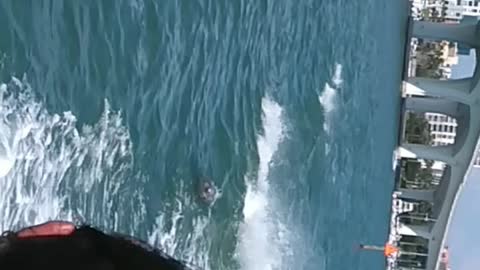Clearwater Dolphins