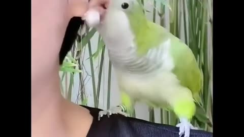 funny animal videos every day!