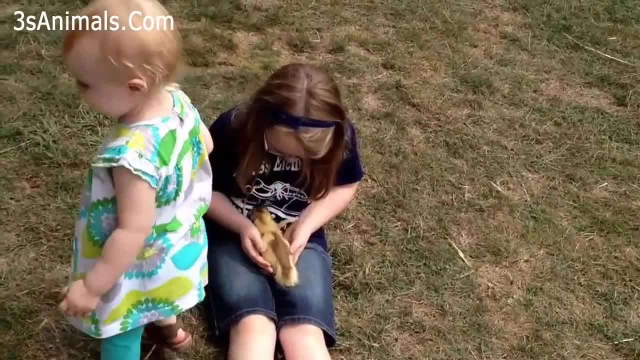 The Cutest Kids and Animals Funny Pet Videos