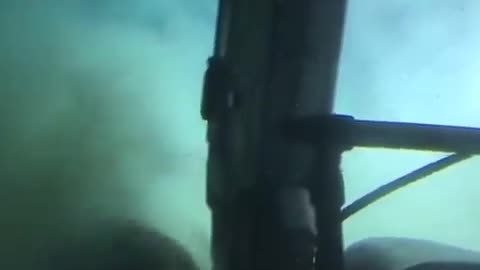 Massive Deep Water Shark Checking Out A Submarine #shorts #shortsvideo #video #viral