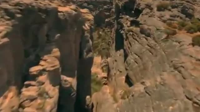 The Real Nature