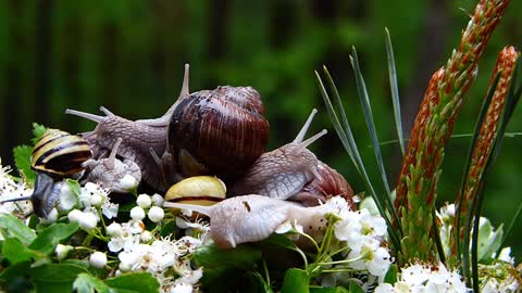 Nature at its best.
