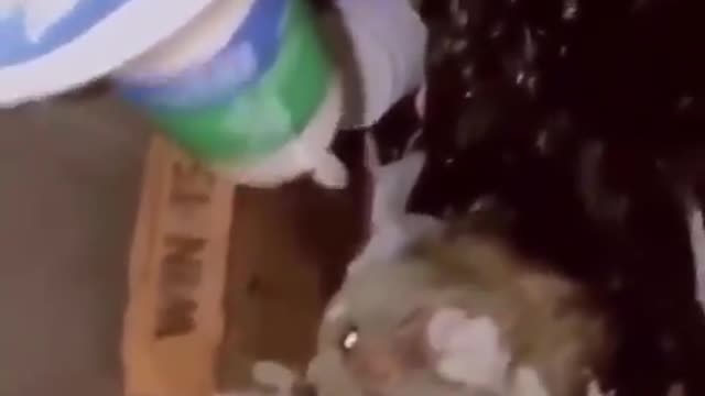 Strange Video #130