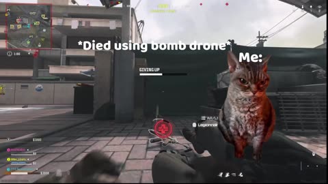 Call of duty with cat memes part 3