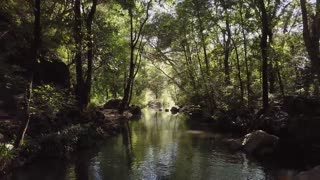 The beautiful nature of the world