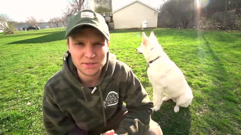 CORRECTING YOUR DOG SAFELY