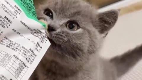 Hey, let me show you the little brain axe