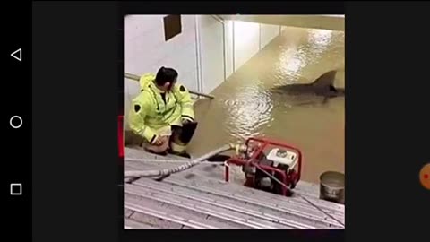 UM DIA DE FÚRIA - AS PANTERAS ESTRÉIA MAL E DIRETORA COBRA HOMENS.