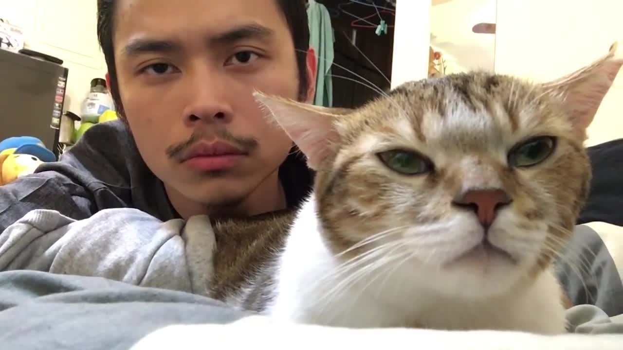 Cat & Owner vibing with Drake