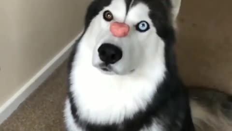 A little unique