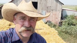 Loos from the Hip Aug 5, 2021 Imprinting works on colts & kids