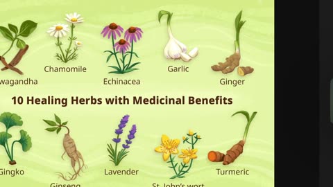 GMOBUGS&HERBALHEALING 🐜 🌱