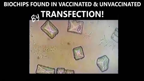 "When We Say Wetware . . . Transfection, Democide & The Wireless Internet of Bodies"