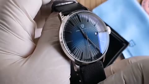 New PAGANI DESIGN Men's Watches Fashion Sports Gold Watch For Men Automatic Mechanical Wri