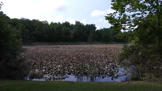 Columbia Township OH, USA hike