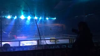 Robot Wars Maidstone 2016: Ripper Vs Rattler Vs Ironheart 88