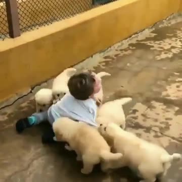 I wish I was that kid Overwhelmed with puppy love