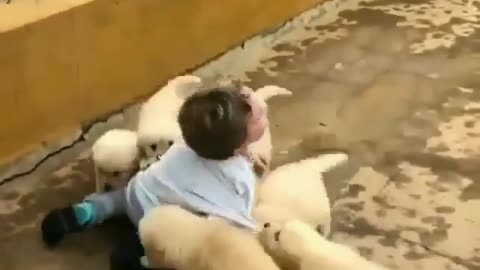 I wish I was that kid Overwhelmed with puppy love