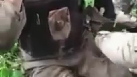 Ukraine War - The reconnaissance officers capturing enemy troops