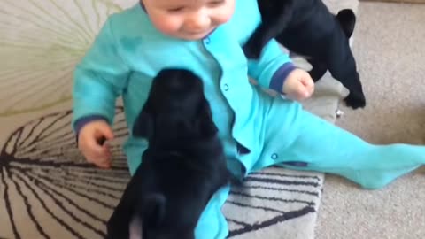 Cute baby and puppy playing and laughing at pup🤗