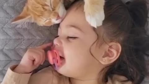 Rolling in Laughter: Cats and Dog's Funniest Antics Revealed