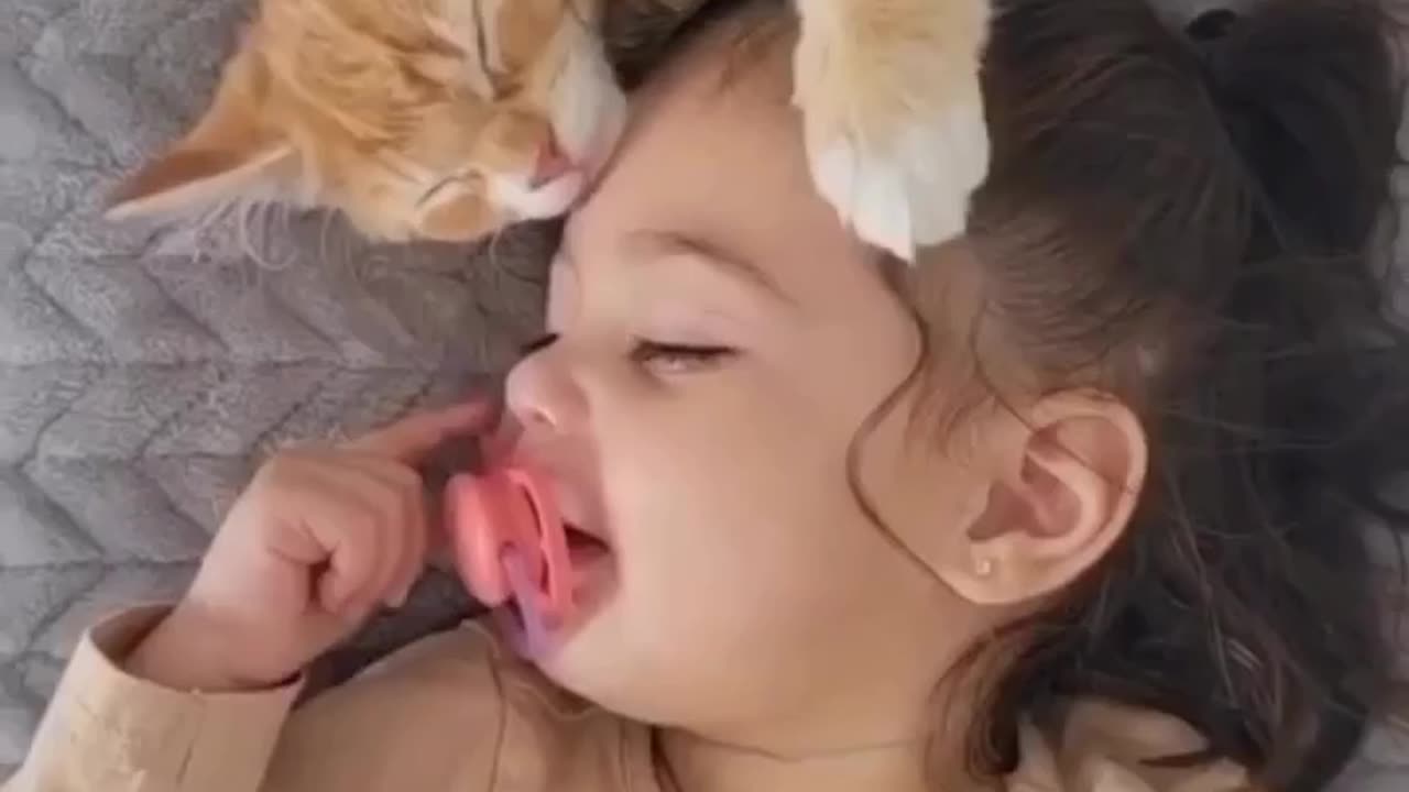 Rolling in Laughter: Cats and Dog's Funniest Antics Revealed