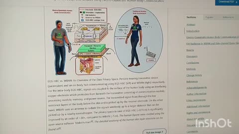 MANY BODIES VS JUST YOU'RE BODY: I.O.B. VS WBAN - CORRECTING KAREN KINGSTON'S CONTINUED CHOSEN IGNORANCE WITH PROOF AGAIN!