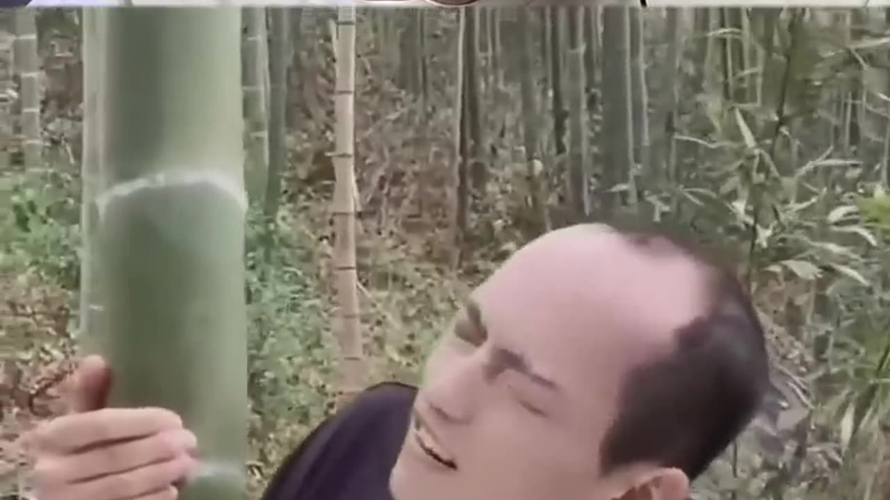Trying not to laugh compilation