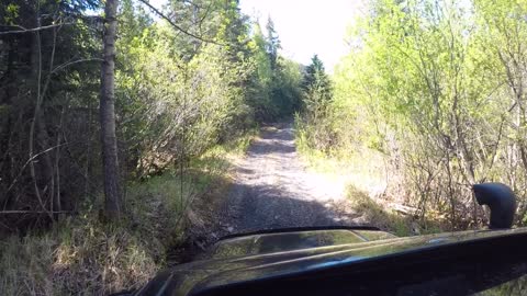 Summer Time, Old Seward Highway V