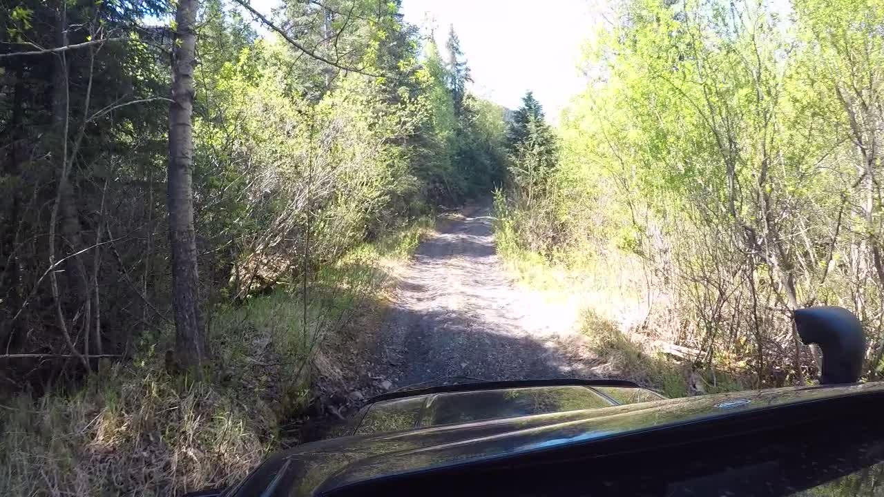 Summer Time, Old Seward Highway V