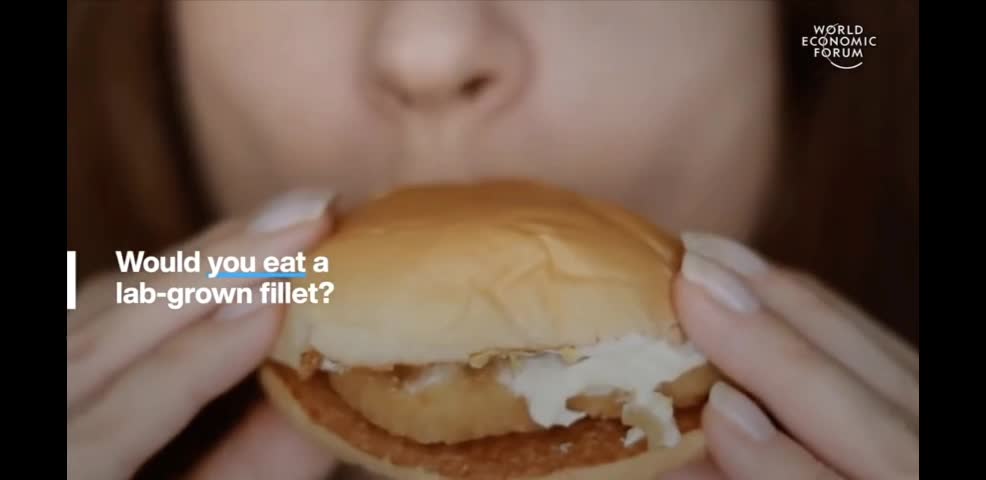 This is what the globalists want us to eat, food made in a lab...