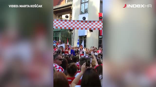 Vidin govor u Donjem Miholjcu