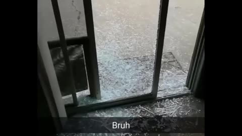 Dog breaks the window