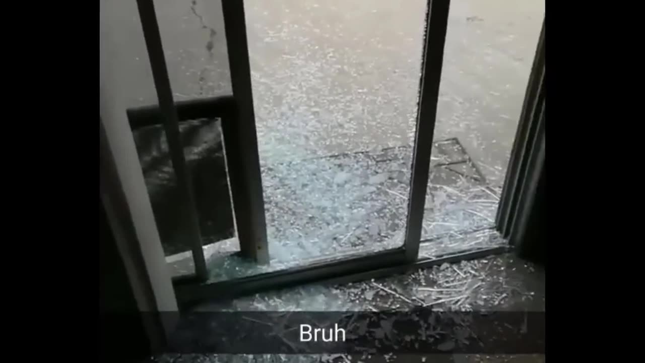 Dog breaks the window