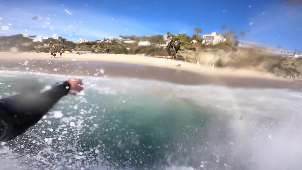 RAW: POV Skimboarding a Wedge with World Champions Austin Keen, Bill Bryan, Paulo Prietto-11