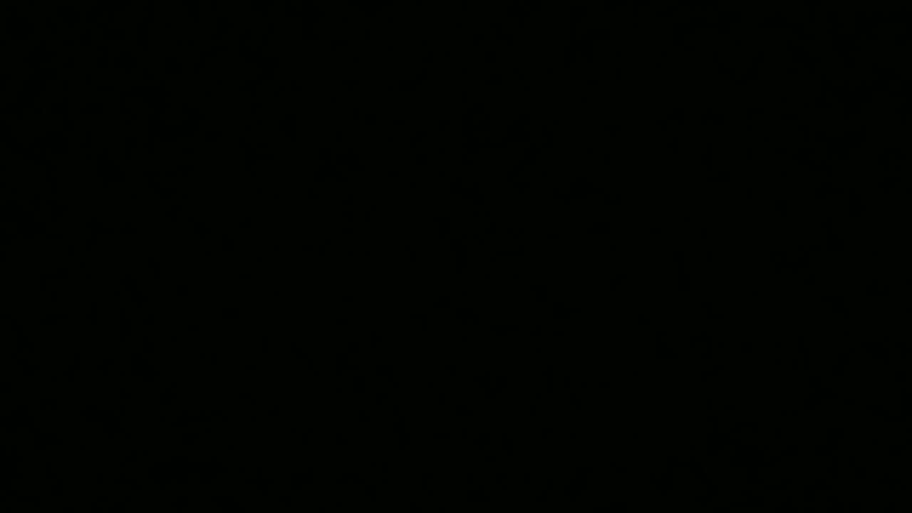 Some Random Sunday Morning Puppy Mill Clips