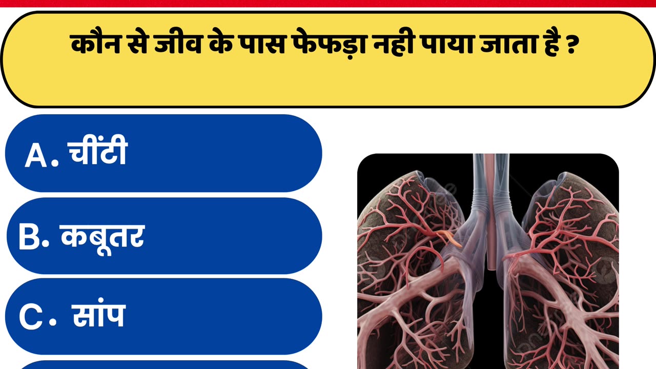 GK IN HINDI || GK QUIZ VIDEO || GENERAL KNOWLEDGE ||GK Question 2024 || INTESTING FACT GK