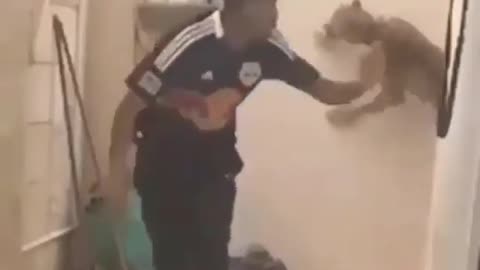Man Chased by a Tiger.