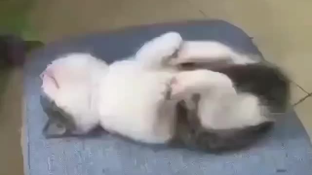 Cutest sleeping position ♥️😴😍