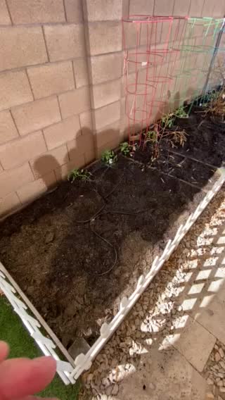 Prepping - Arizona side yard garden