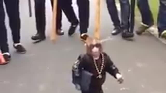 Mafia Monkey 🐒🐒