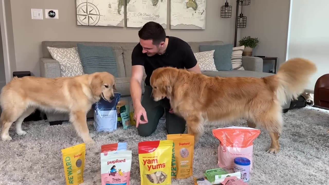 Finding the best dog treat!